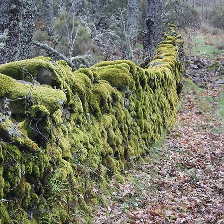 Apartamentos Sierra de Francia Monsagro Zewnętrze zdjęcie