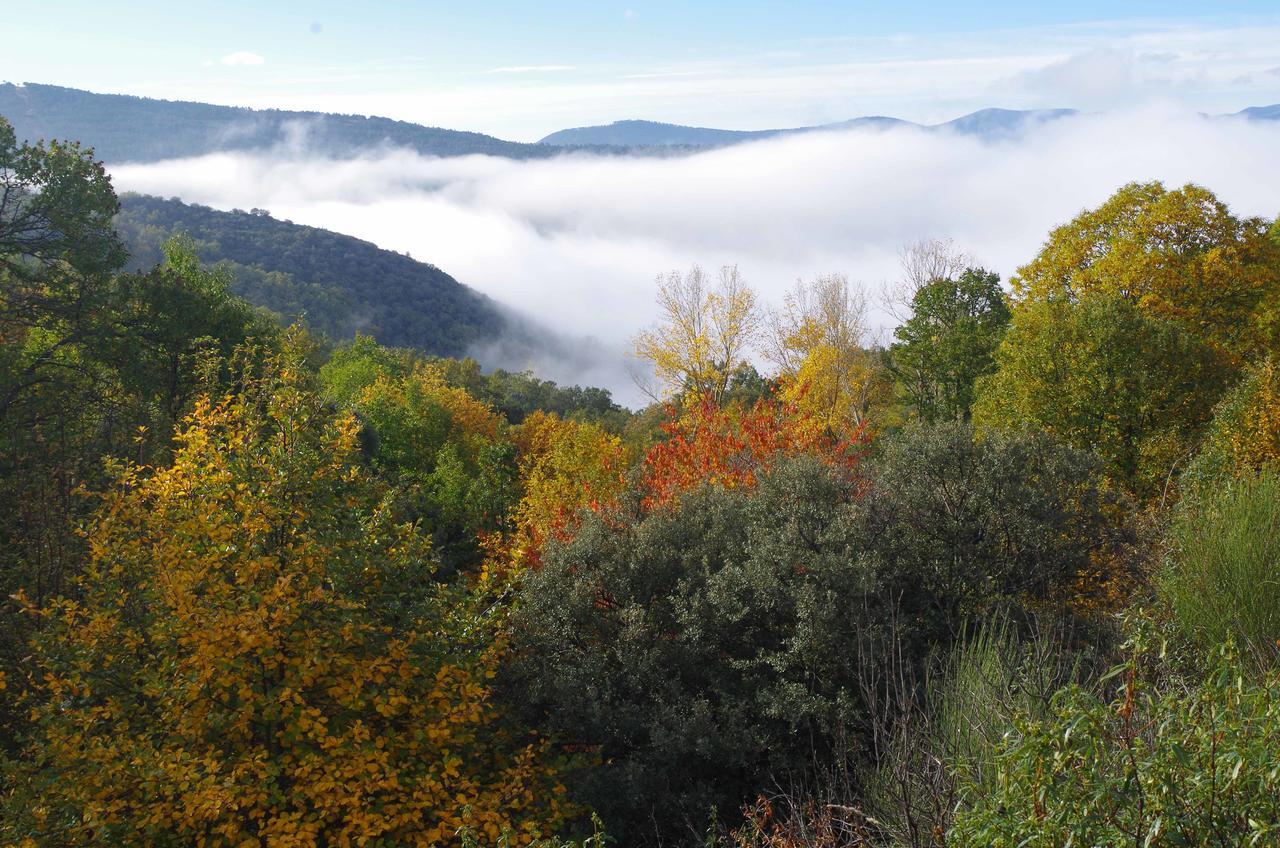 Apartamentos Sierra de Francia Monsagro Zewnętrze zdjęcie